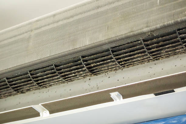 Best Dryer Vent Cleaning Services  in Upper Arlington, OH